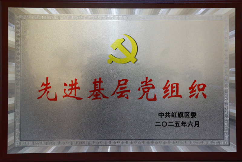我公司党委荣获2025年度新乡市红旗区“先进基层党组织”荣誉称号