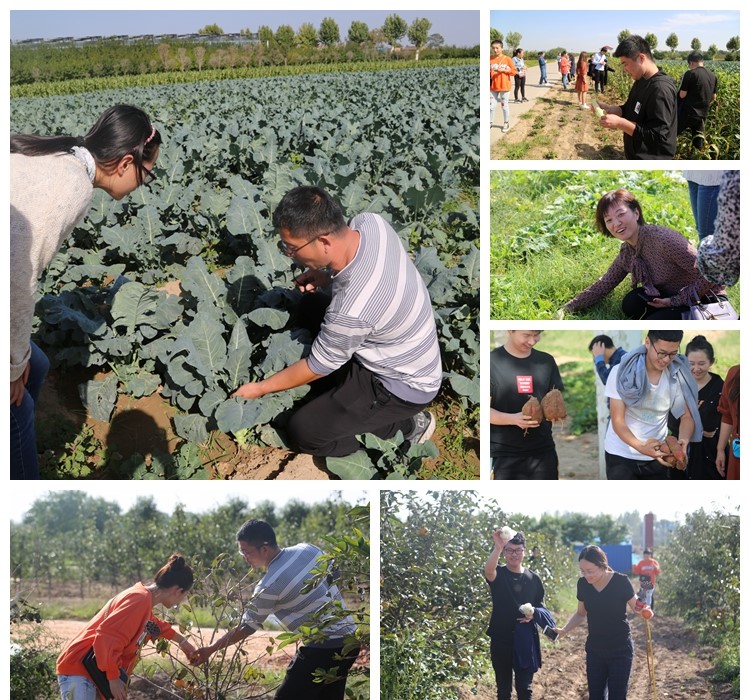 1538290345946364.jpg 2.jpg