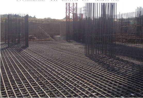 1556591160254620.jpg 6.jpg